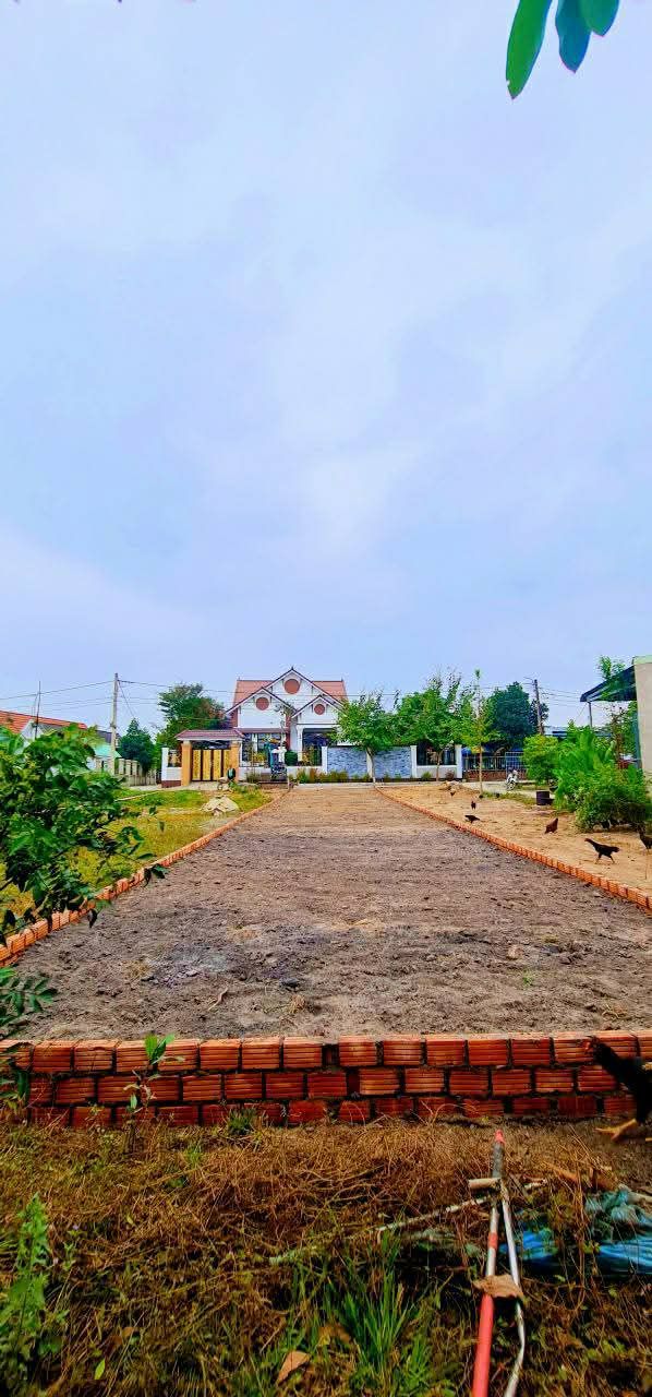 Đất thổ cư thôn 5 Hòa Tiến 150m² giá chỉ 1 tỷ - Đầu tư sinh lời ngay!