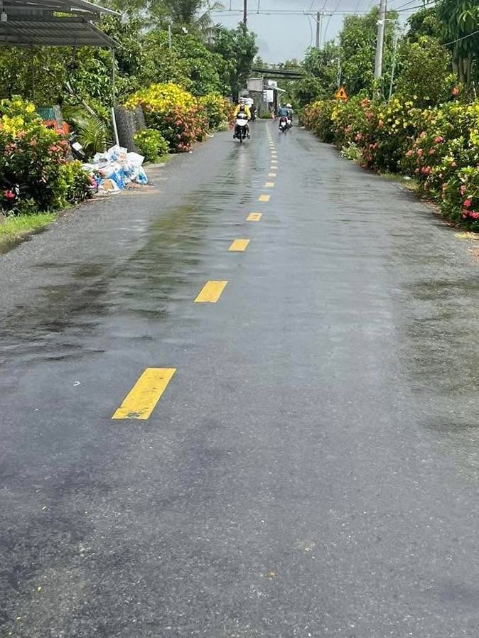 Đất nền Huyện lộ 82, Cai Lậy, Tiền Giang 384m² giá 3.84 tỷ - Khu vực đông dân cư, thuận tiện kinh doanh!