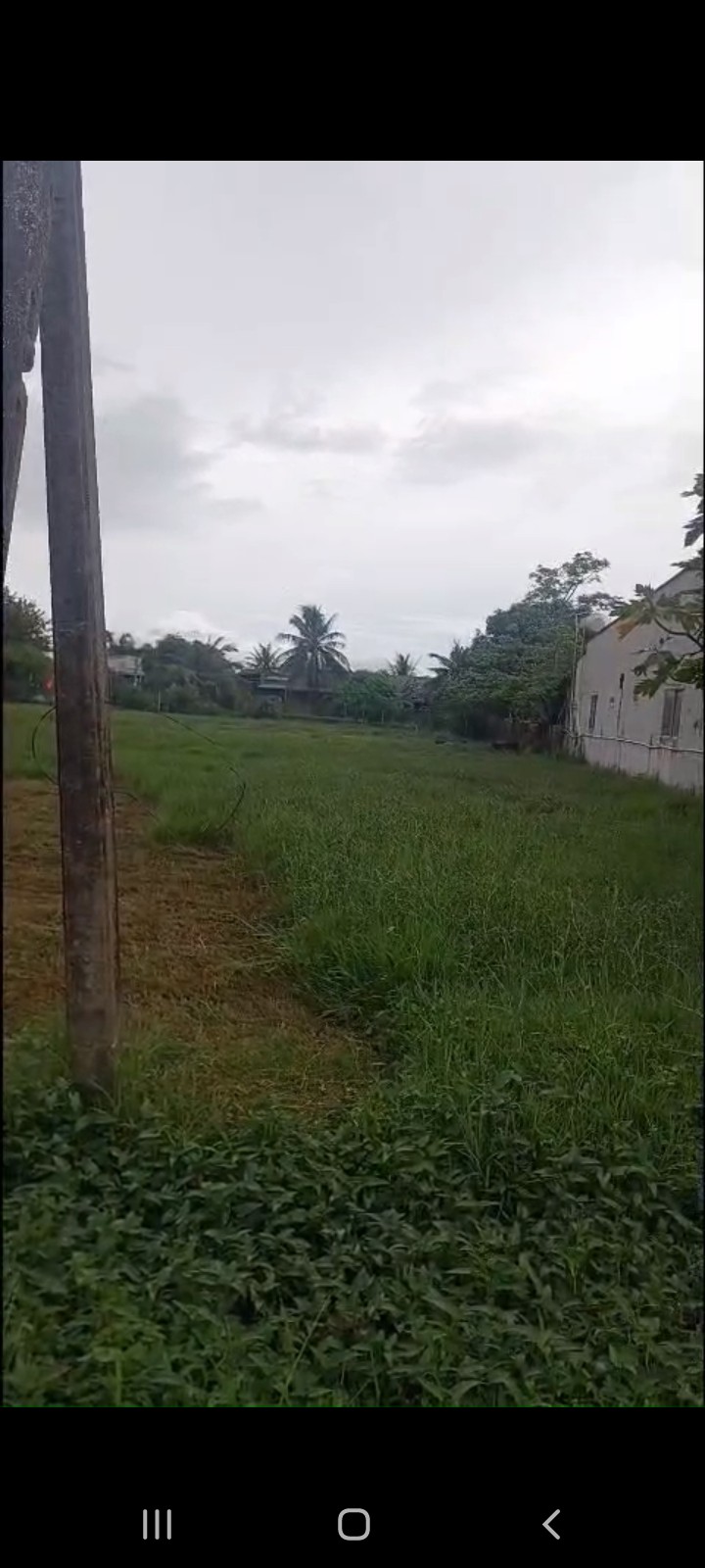 Đất nền 1466m² mặt tiền nhựa An Đước, Trảng Bàng - Giá chỉ 3 tỷ VND!