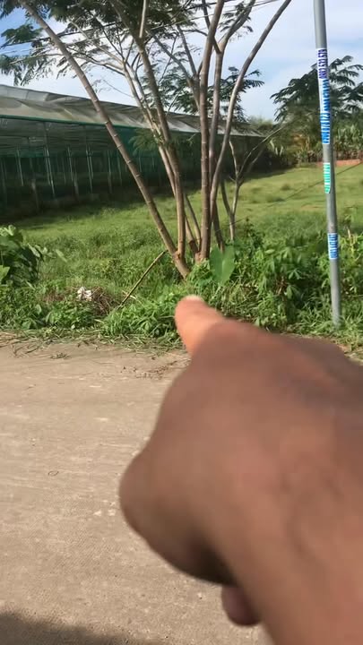 Đất nền xã Mỹ Hạnh, Đức Hòa 365m² - Sổ đỏ chính chủ, xây dựng tự do!