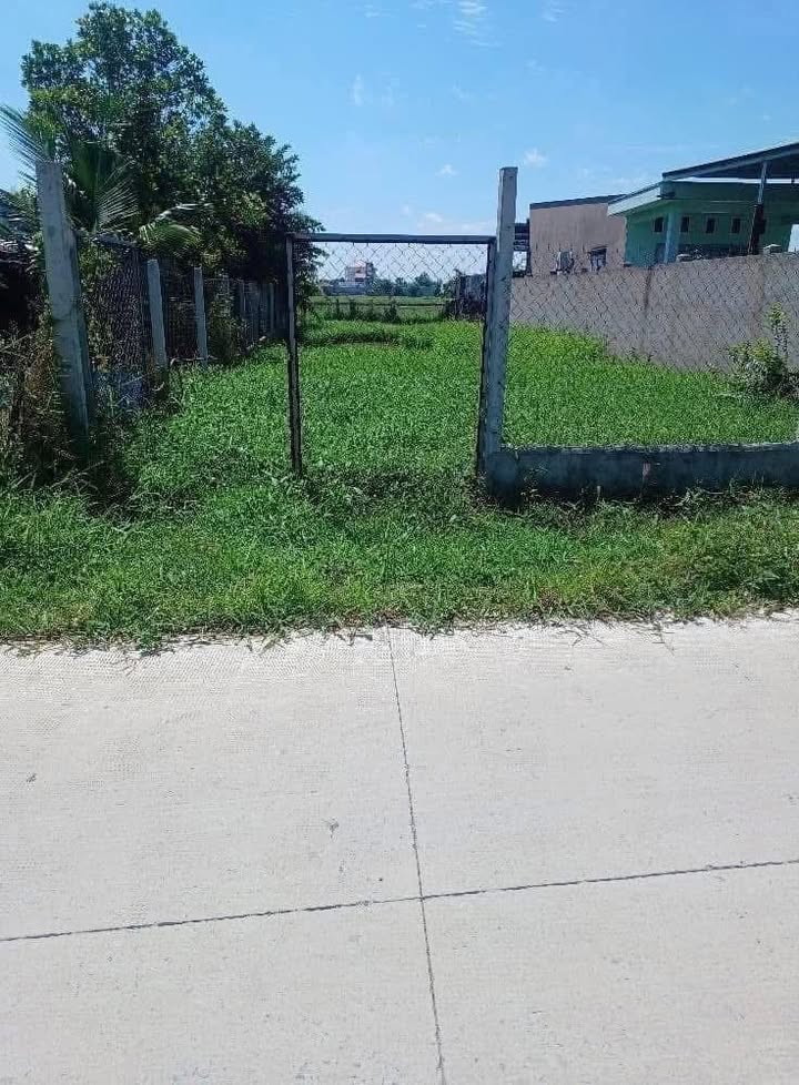 Lô đất thổ cư 193.6m² tại Hòa Khánh Nam, Đức Hòa - Giá chỉ 700 triệu!