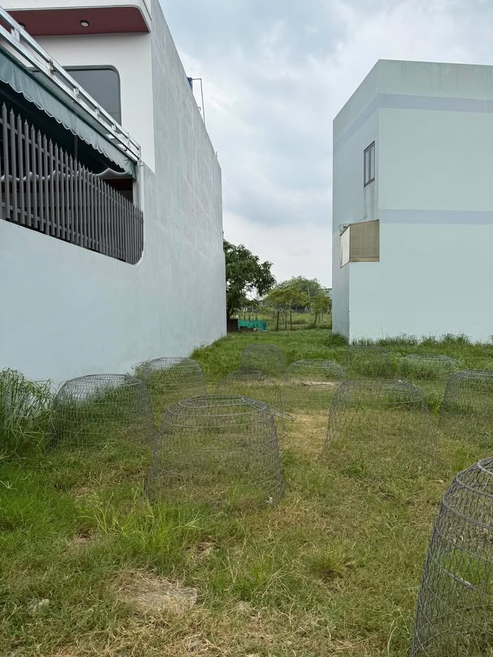 Đất nền đường Hoa Tulip, thị trấn Đức Hòa 120m² giá 1.58 tỷ - Cần bán gấp!