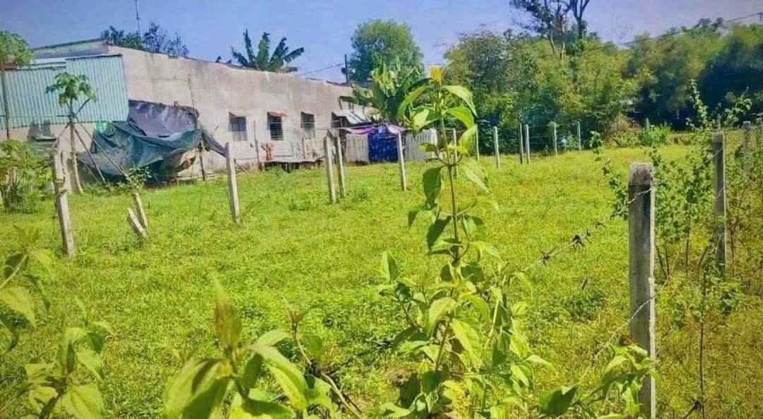 Đất thổ cư Củ Chi 415m² giá 2.6 tỷ - Đường nhựa rộng rãi, ô tô tránh nhau thoải mái!