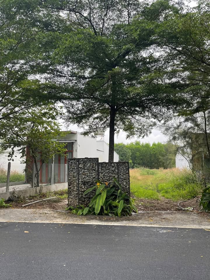 Đất nền nghỉ dưỡng tại Phước Hội Đất Đỏ 450m² giá 2.96 tỷ - Cơ hội đầu tư hấp dẫn!