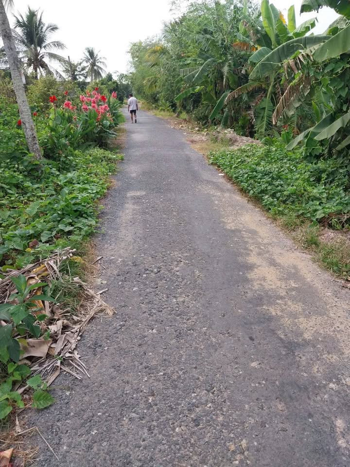 Đất nền Hậu Mỹ Bắc A, Cái Bè 324m² giá 450 triệu - Cơ hội đầu tư tuyệt vời!