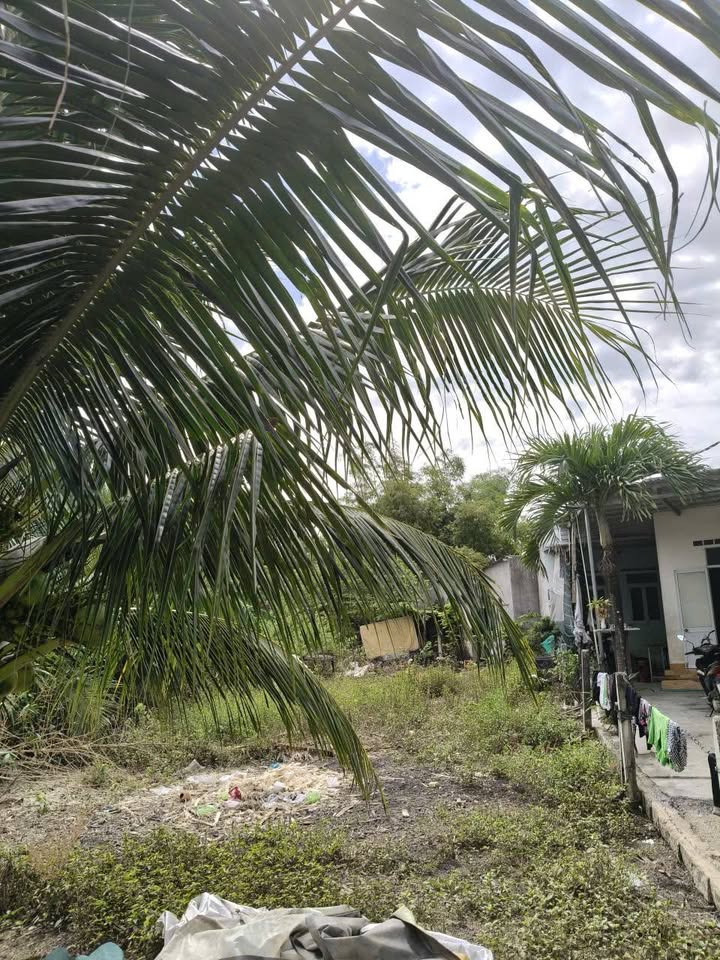 Đất Nền 130m² Ninh Hiệp, Gia Lâm - Chỉ 1 Tỷ, Đầu Tư Sinh Lời!