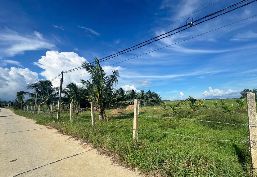 Đất nền đường Thạch Định, xã Hòa Trí, Diên Khánh 200m² chỉ 390 triệu - Đầu tư sinh lời ngay!