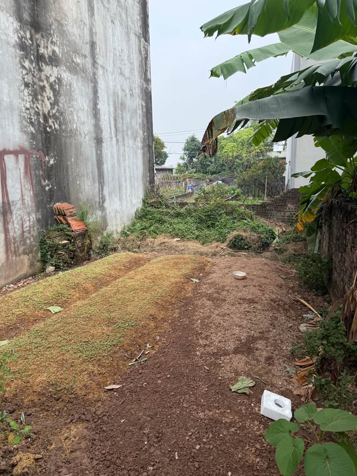 Đất nền 50m² Mai Hiên, Mai Lâm, Đông Anh - Sổ đỏ chính chủ, giá 3.5 tỷ