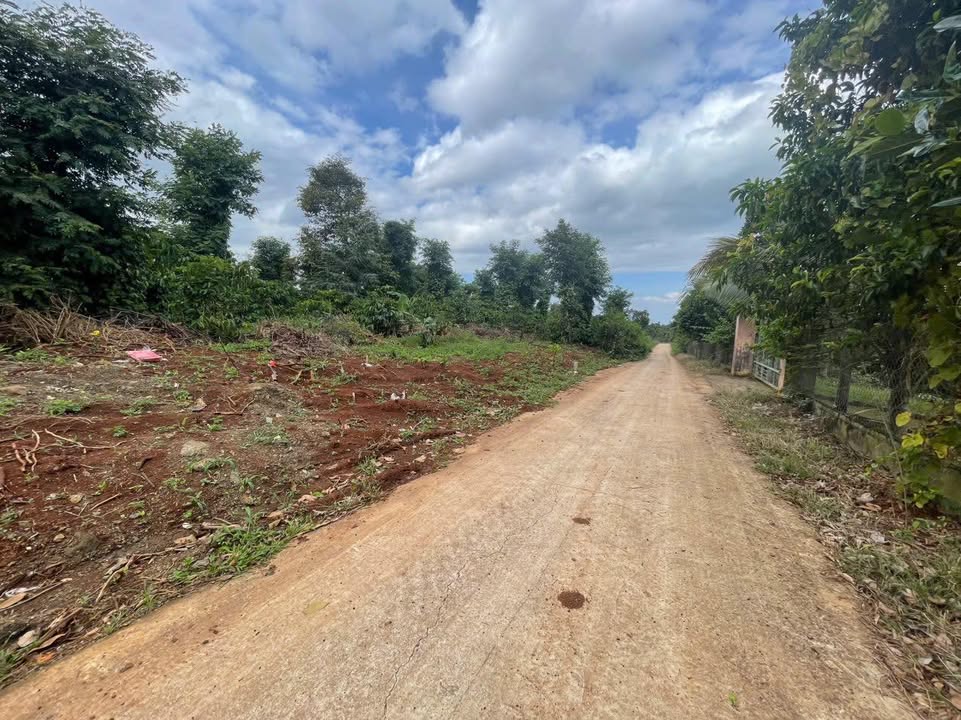 Đất nền Đỗ Xuân Hợp, Buôn Ma Thuột 500m² giá 990 triệu - Đầu tư sinh lời ngay!