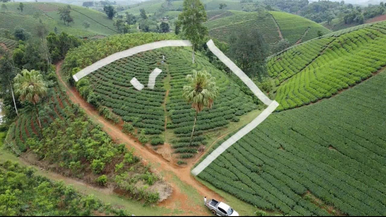 Đất nền đẹp Long Cốc - Phú Thọ 2400m² giá chỉ 400 triệu - Suất hiếm trong lõi du lịch!