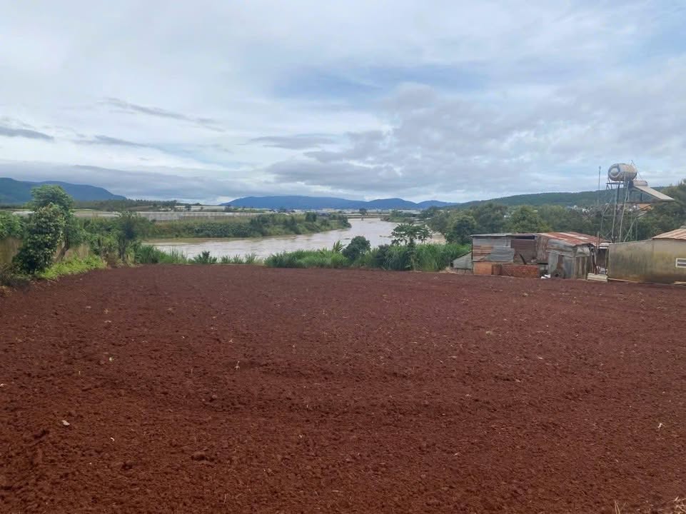 Đất sào đẹp Tu Tra Đơn Dương 1597m² giá 4 tỷ - View sông thoáng mát!