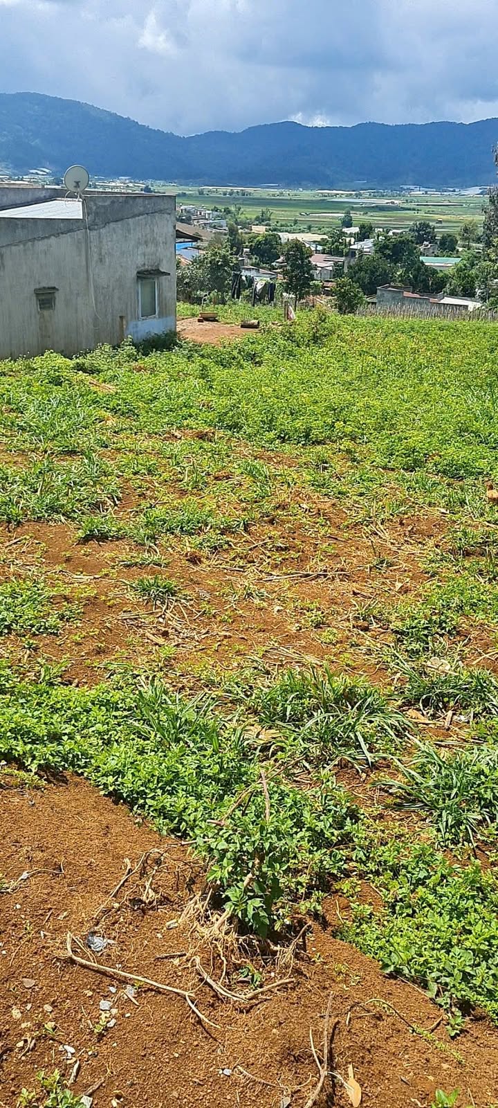 Đất nền Quảng Lập Đơn Dương 315m² giá chỉ 500 triệu - Cơ hội đầu tư tốt!