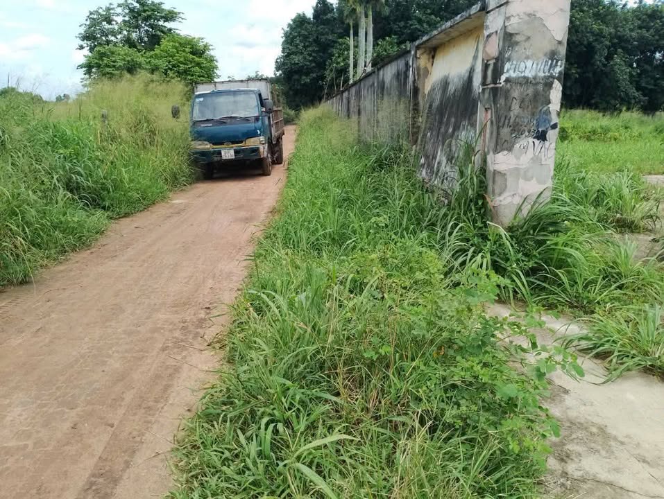 Đất vườn mặt tiền đường 441, xã Phú Hòa Đông, Củ Chi, 5850m² - Giá đầu tư chỉ 2.5 tỷ!