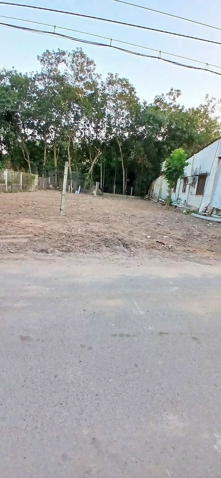 Đất nền 246.66m² mặt tiền đường Nguyễn Văn Tiệp, Củ Chi - Giá chỉ 1.6 tỷ!