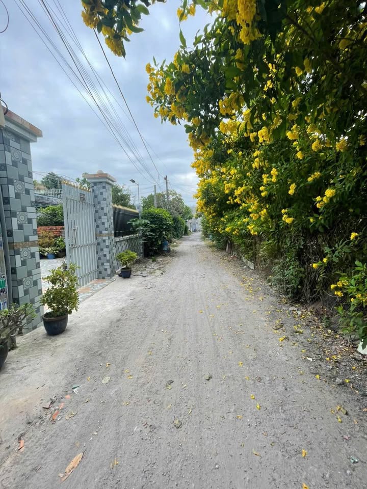 Nhà bán Tân Phú Trung, Củ Chi 116m² giá 2.2 tỷ - Hỗ trợ thương lượng!