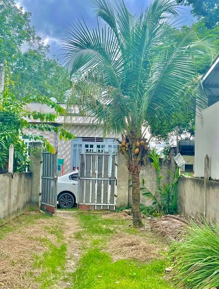 Nhà bán hẻm 1/ Tỉnh Lộ 15, xã Trung An, Củ Chi 200m² giá 2.9 tỷ - Vị trí đẹp, tiềm năng tăng giá!