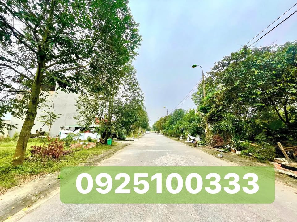 Đất nền phường Quảng Hưng 81m² giá 1.7 tỷ - Tiềm năng đầu tư vượt trội!