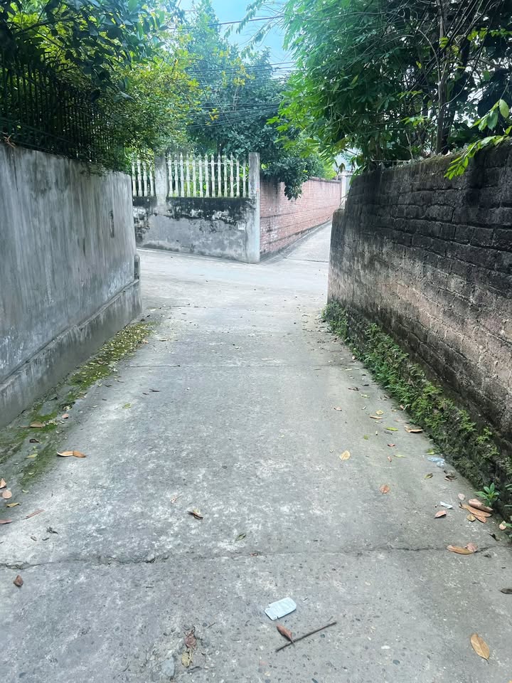 Đất lô góc 2 mặt tiền Khu Hòa Phong, Minh Nông 82.6m² giá chỉ 2.2 tỷ!