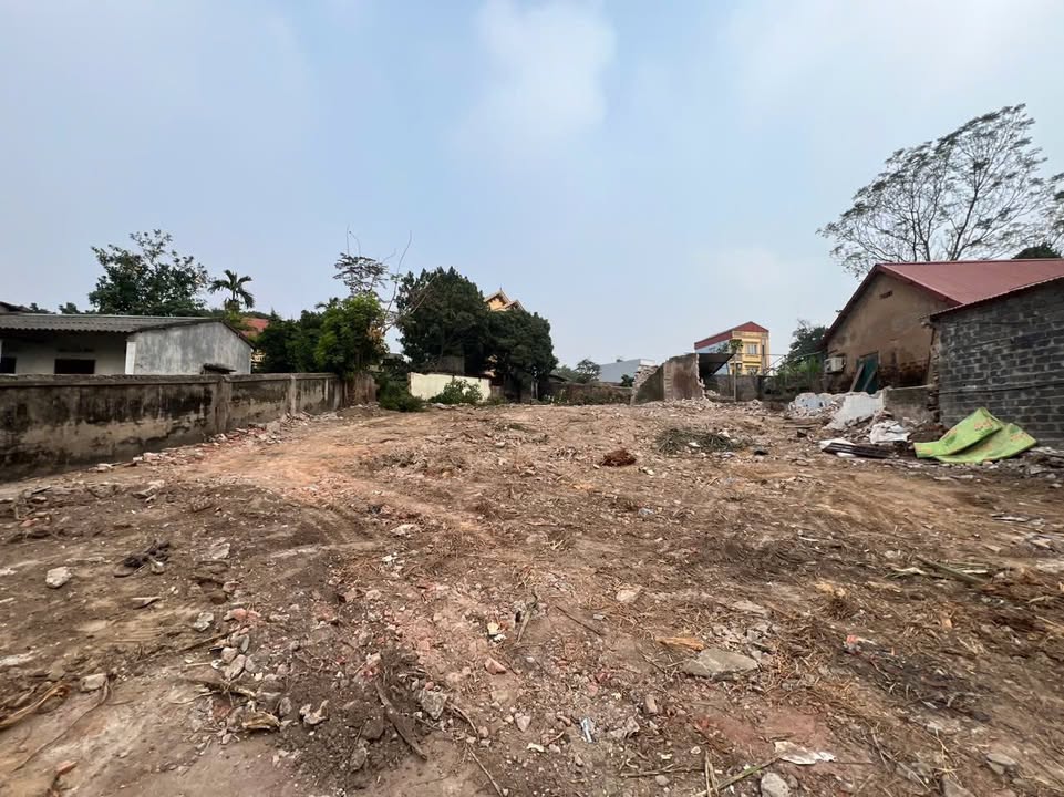 Đất nền Thanh Miếu, Việt Trì 78m² giá 2.5 tỷ - Tiềm năng tăng giá mạnh!