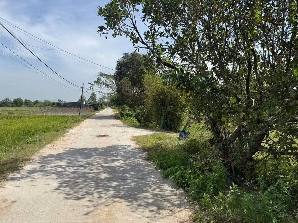 Đất mặt tiền đường bê tông Tân An Hội Củ Chi 175m² giá 1.55 tỷ - Sổ riêng, chính chủ!