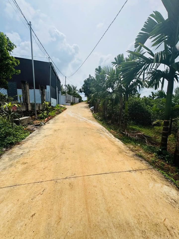 Đất thổ cư Khánh Xuân 115m² giá 750 triệu - Vị trí đắc địa, thuận tiện di chuyển!