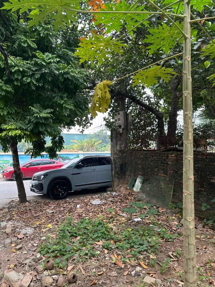 Đất nền Phúc Lợi, Long Biên 100m² giá 9.98 tỷ - Đầu tư sinh lời ngay!