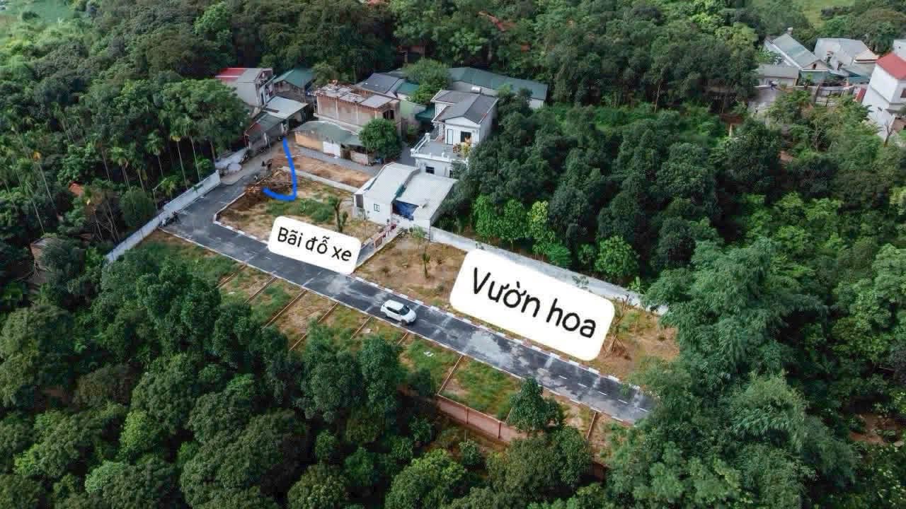 Đất nền 50,2m² tại phường Trung Hưng, Sơn Tây chỉ 1,5 tỷ - Cơ hội đầu tư hiếm có!