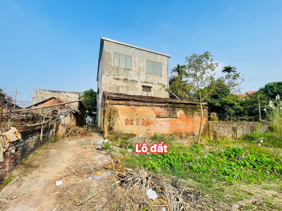 Đất tại Võng Xuyên, Phúc Thọ 55m² - Nở hậu, cách trục chính 1 nhà!