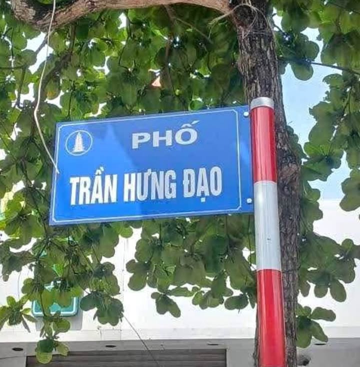 Đất mặt đường Trần Hưng Đạo, Nam Định 42m² giá 8 tỷ - Kinh doanh đắc địa!