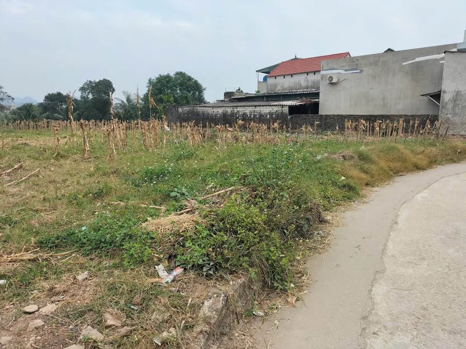 Đất nền xã Hà Vĩnh, huyện Hà Trung 620m² giá 700 triệu - Đầu tư lý tưởng!