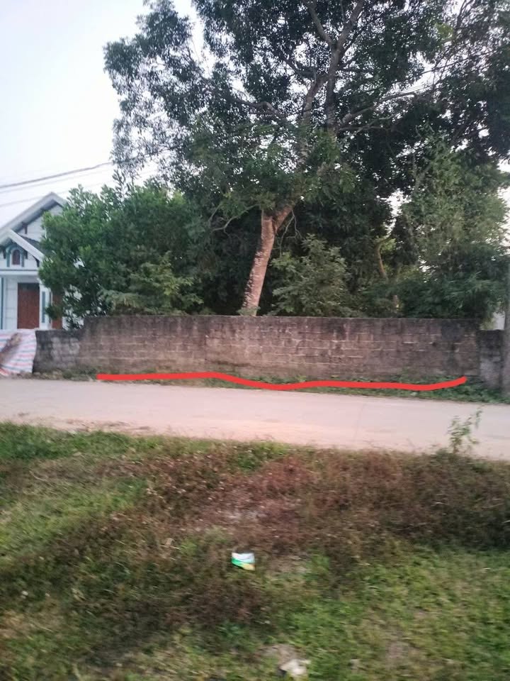 Lô đất đẹp khu phố 4, Đồng Trung, Thanh Thủy 459.2m² - Vị trí đắc địa, giá thỏa thuận!