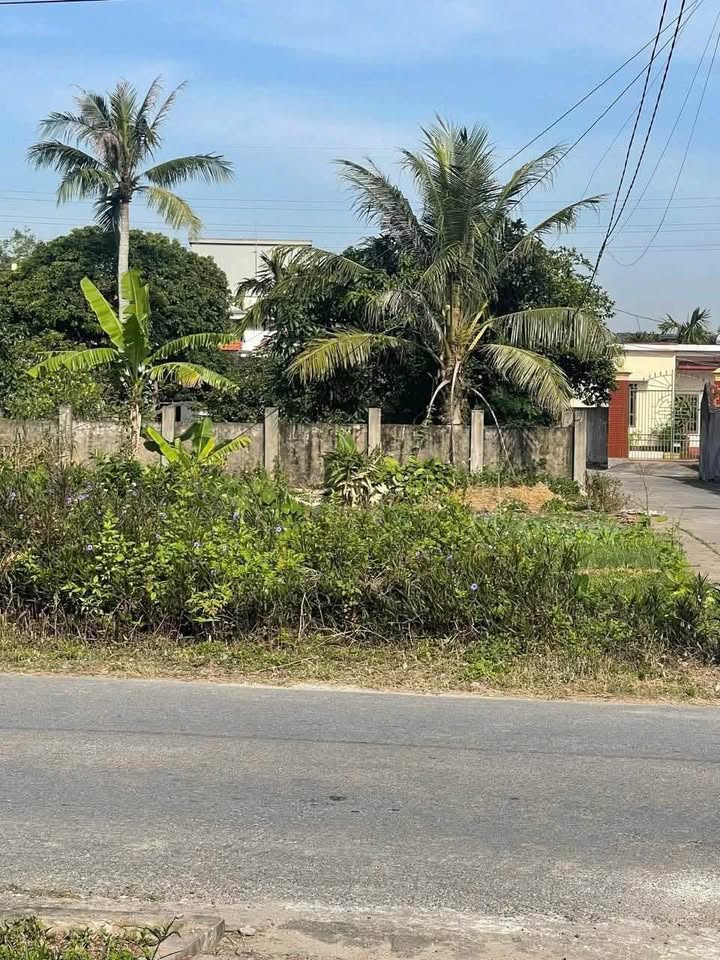 Đất lô góc Thái Hưng, Thái Thụy 134m² giá 1 tỷ - Cơ hội đầu tư tuyệt vời!