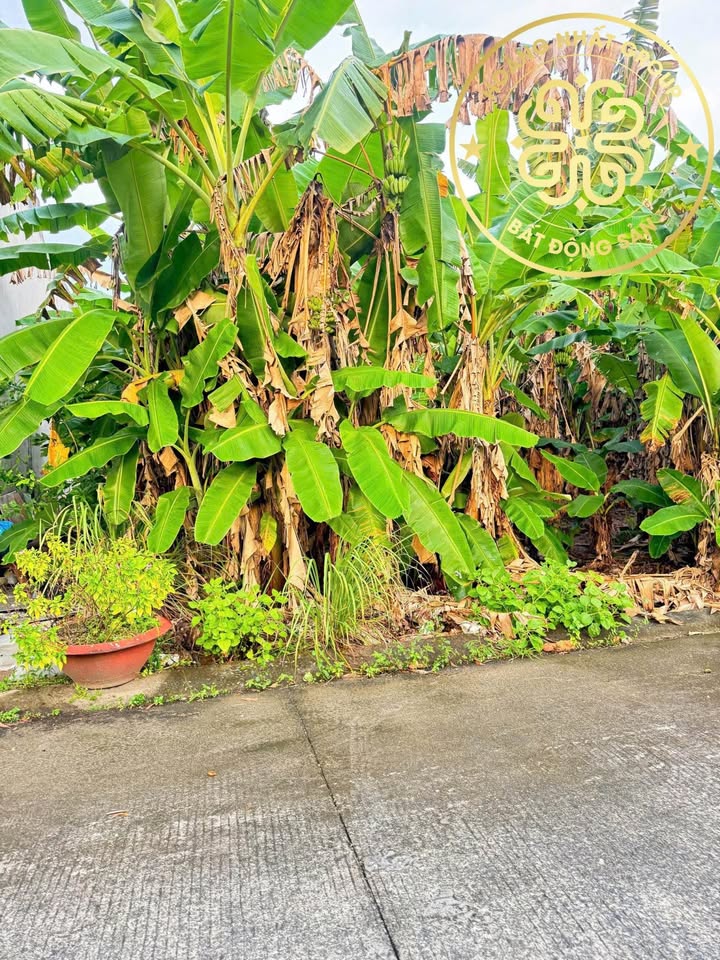 Đất nền thổ cư Cà Mau 66m² giá 900 triệu - Đầu tư sinh lời ngay!