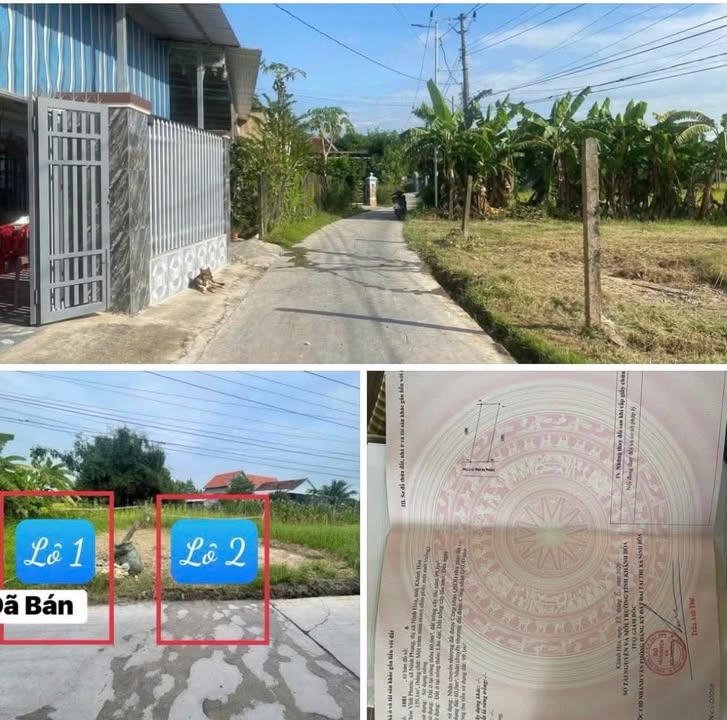 Đất Ninh Phụng Ninh Hòa 159m² giá chỉ 400 triệu - Cơ hội đầu tư không thể bỏ lỡ!