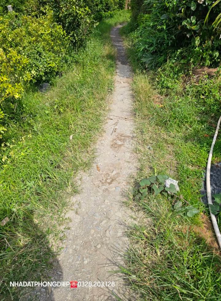 Đất nền Vĩnh Thành Nhơn Trạch 800m² giá 550 triệu - Cơ hội đầu tư hấp dẫn!