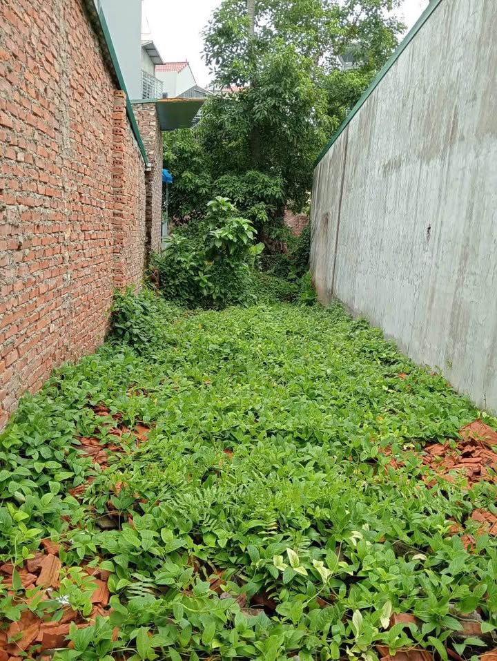 Đất thổ cư 90m² tại phường Lê Lợi, Sơn Tây - Cơ hội vàng chỉ 1 tỷ!