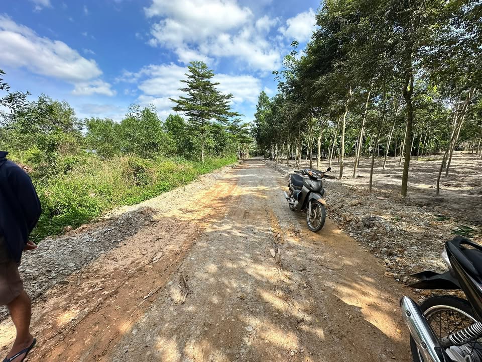 Đất nền Bàu Bàng 120m² giá chỉ 6xx triệu - Đối diện nhà lầu đôi!