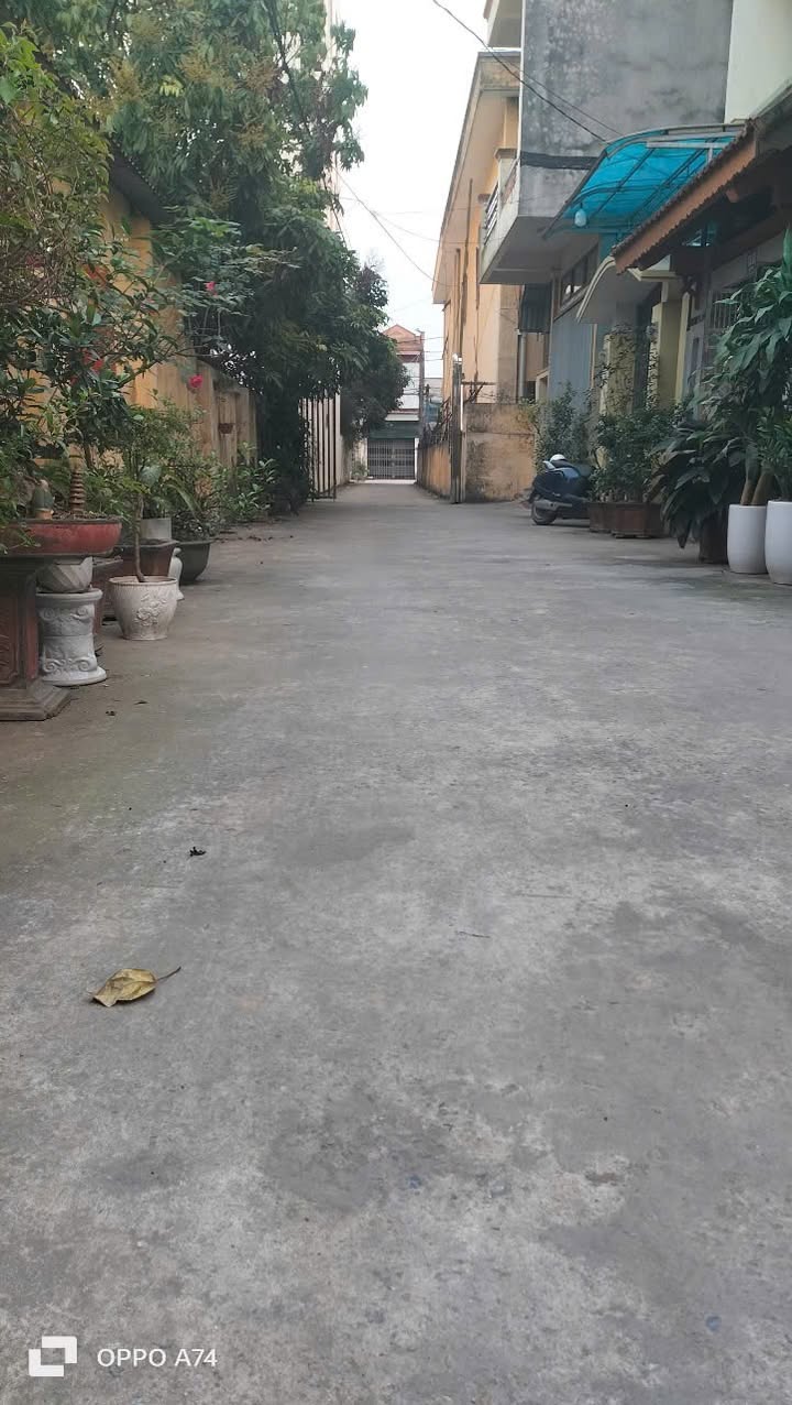 Đất đẹp Trần Lãm Thái Bình 70m² giá 2.9 tỷ - Đường ô tô tránh nhau!