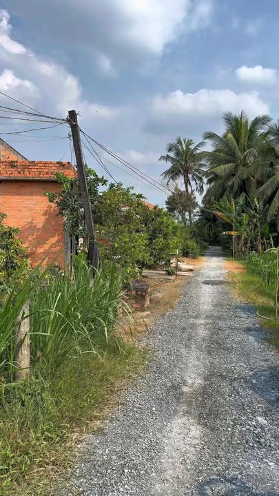 Đất nền 1190m² tại ấp Bình Ninh, huyện Chợ Gạo - Giá chỉ 900 triệu