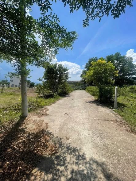 Đất Diên Lạc Diên Khánh 97m² giá 799 triệu - Ô tô tận nơi, khu dân cư an sinh!