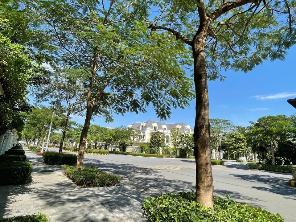 Cho thuê liền kề An Lạc Green Symphony 10 triệu/tháng - Mặt bằng rộng, linh hoạt!