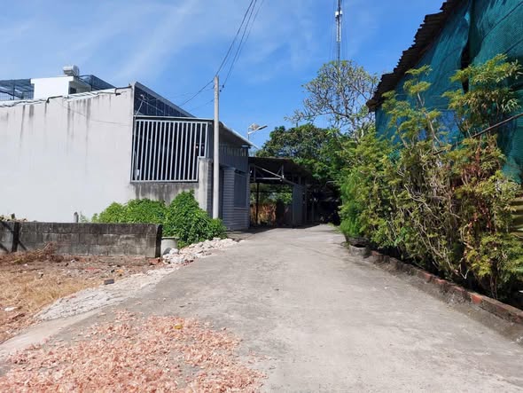 Đất thổ cư 183m² tại xã Tân Thạnh Đông, Củ Chi - Giá chỉ 2.65 tỷ!