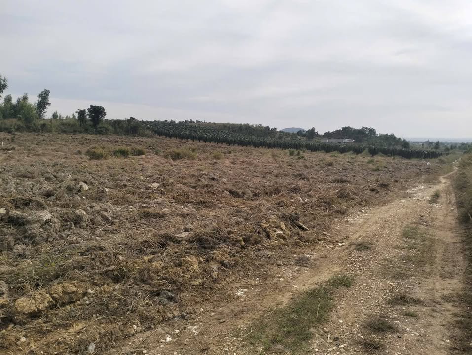 Đất nền 5 sào tại Hàm Minh, Hàm Thuận Nam giá 1.6 tỷ - Đầu tư sinh lời ngay!