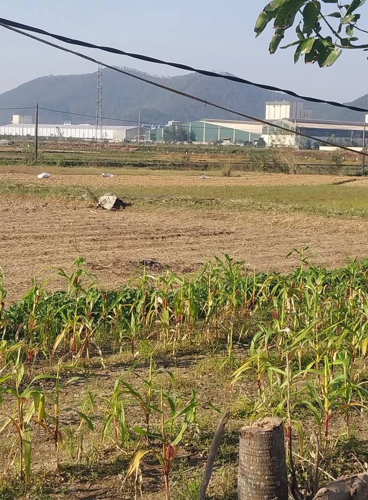 Đất nền Nghi Xá Nghi Lộc 205m² giá 1.5 tỷ - Đầu tư sinh lời ngay!