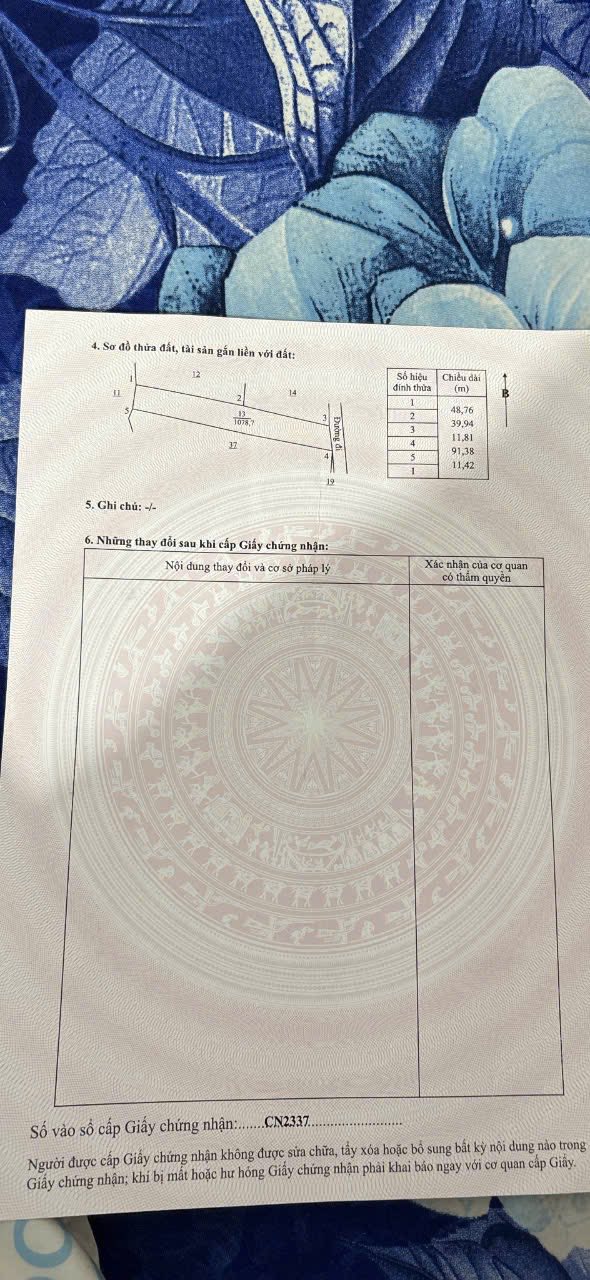 Đất nền 1000m² xã Thành An, Mỏ Cày Bắc giá 700 triệu - Đầu tư sinh lời ngay!