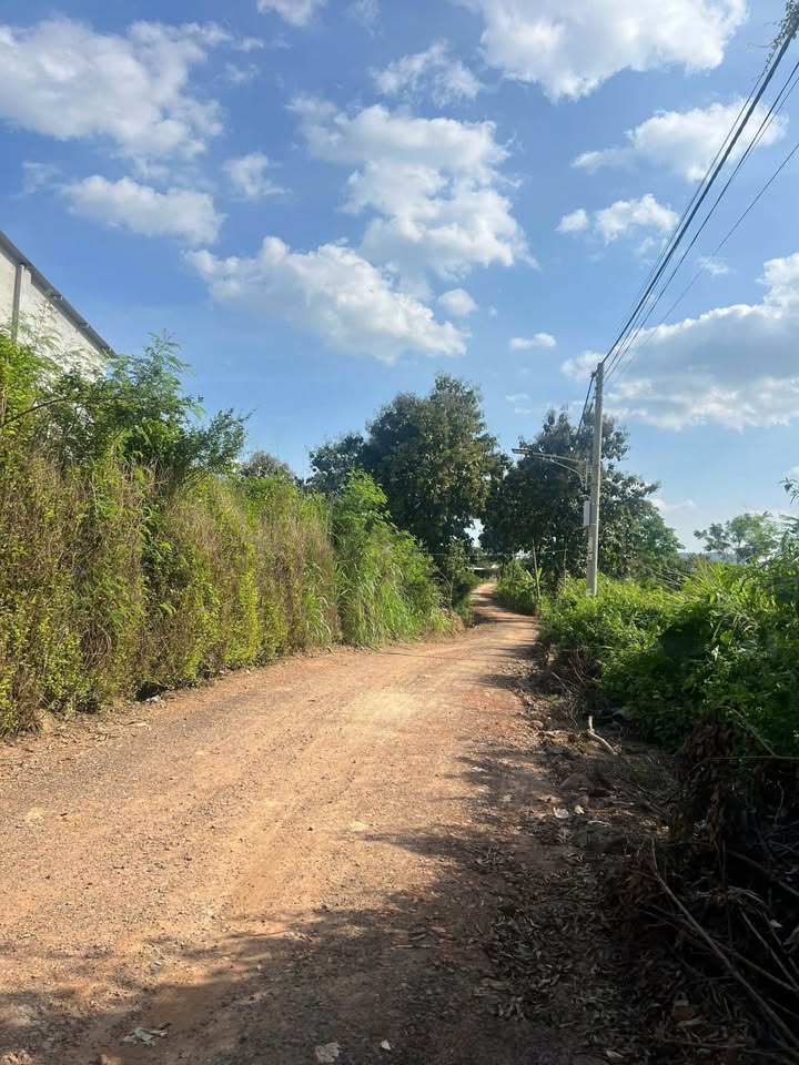 Đất thổ cư Cư Jút Lâm Đồng 2052m² giá 41.04 tỷ - Sổ đỏ chính chủ, thương lượng