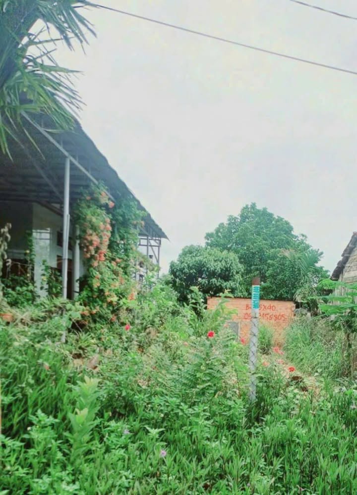 Lô đất Hòa Khánh 200m² giá 650 triệu - Đầu tư sinh lời ngay!