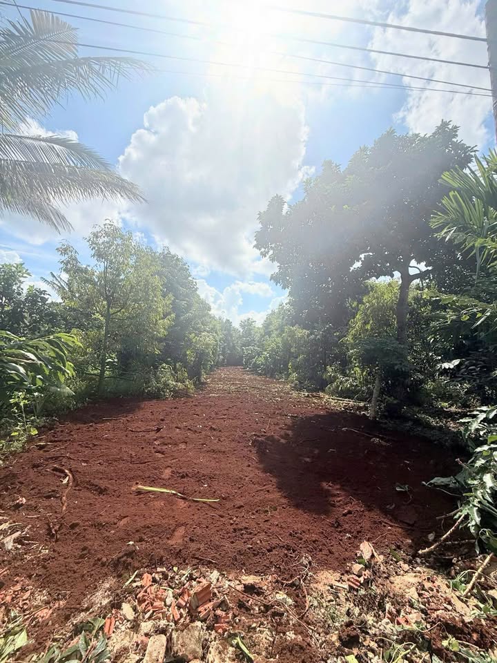 Đất nền mặt tiền D1 KoTam, P. Tân An, 185m² giá 1.35 tỷ - Cơ hội đầu tư hấp dẫn!