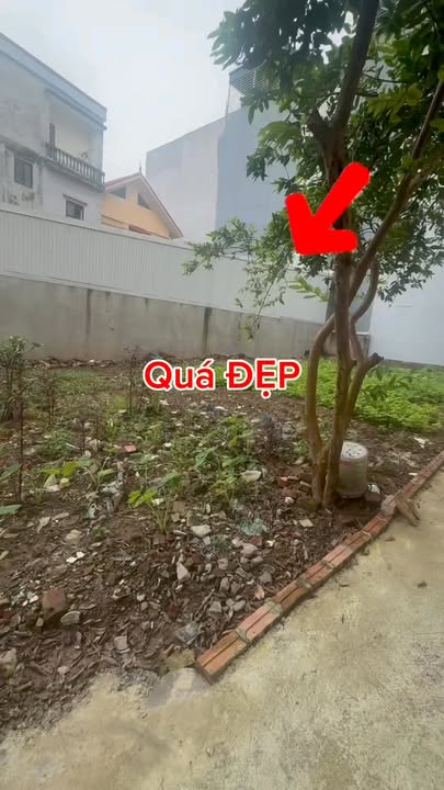 Đất nền Phú Thượng Tây Hồ 221m² giá 44.34 tỷ - Cơ hội đầu tư vàng!