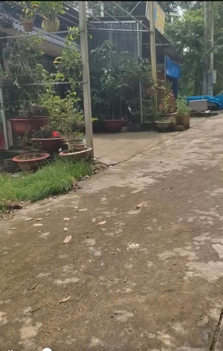 Đất thổ cư phường Mỹ Phước, Bến Cát 130m² giá 1.2 tỷ - Đầu tư sinh lời tốt!